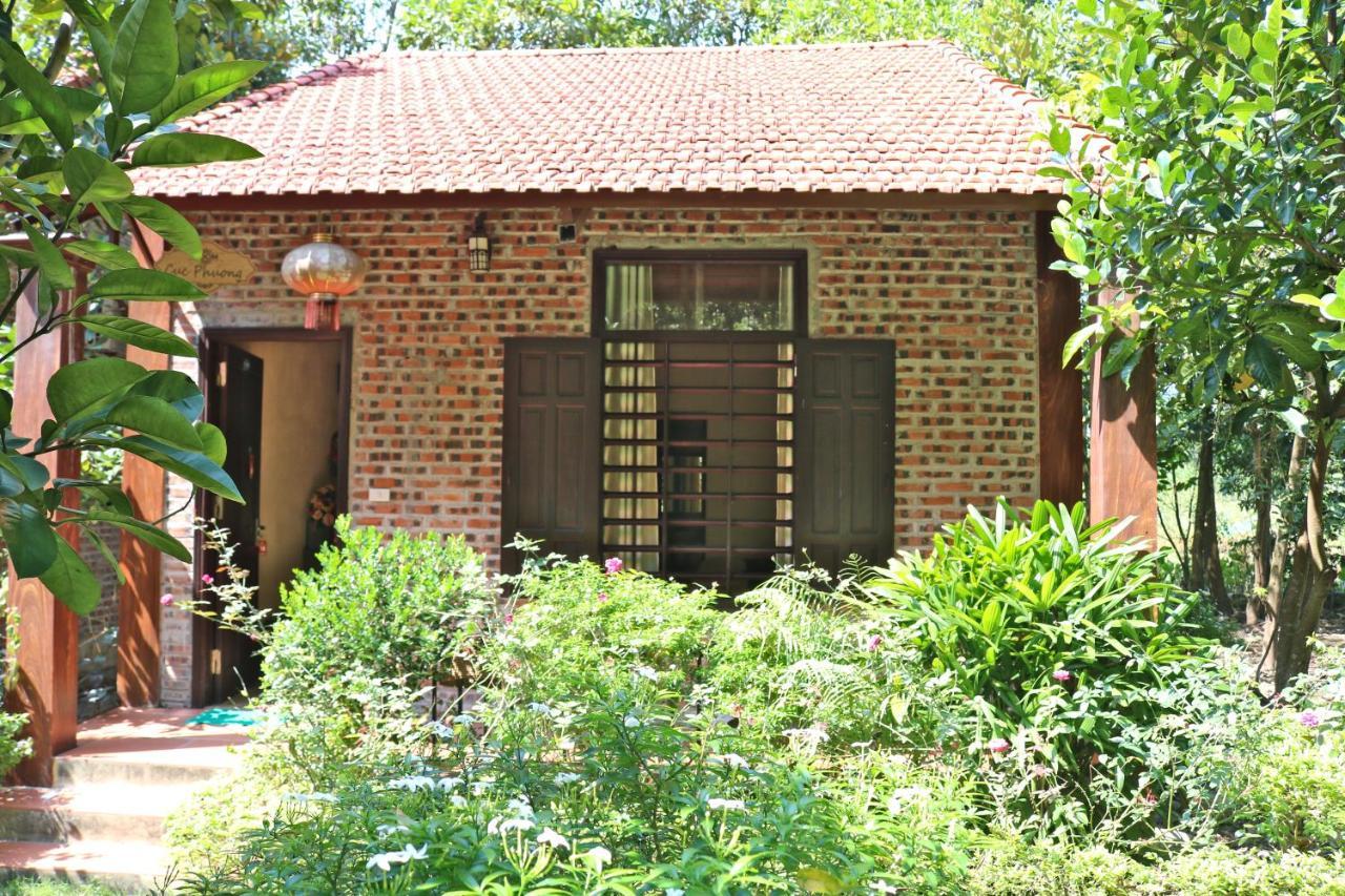 Hang Mua Valley Homestay Ninh Binh Exterior foto